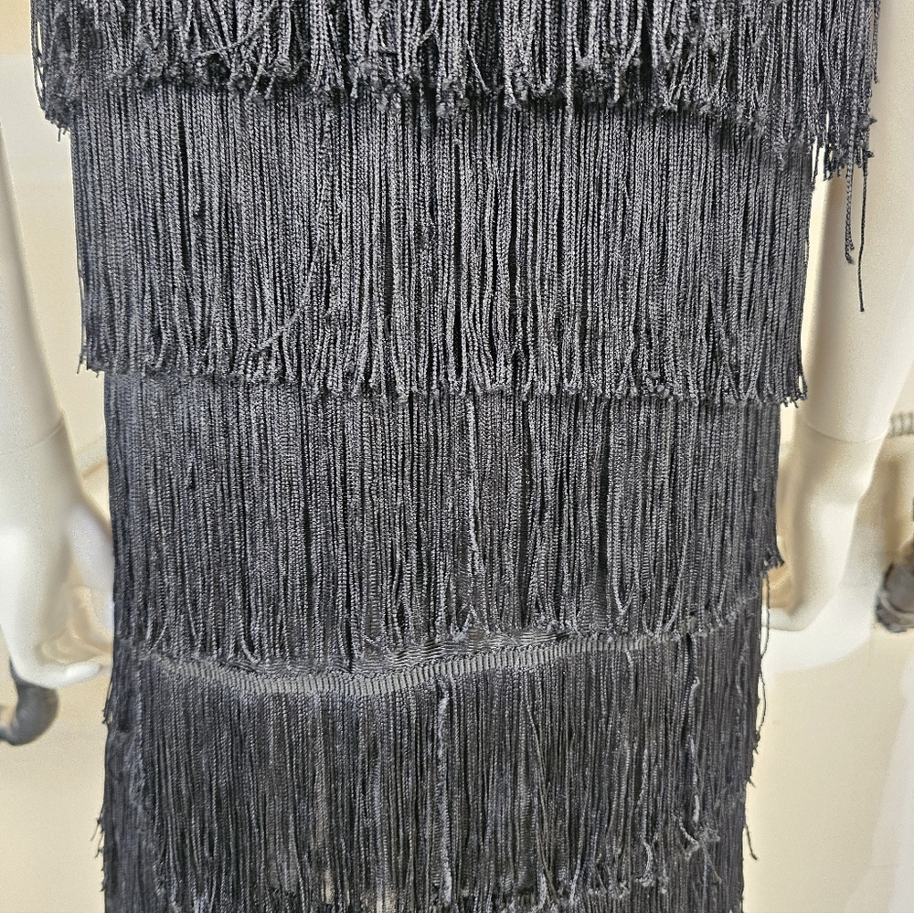 California Costumes Black Fringe Layered 1920's Flapper Dress Size L (Adult) - Picture 9 of 16